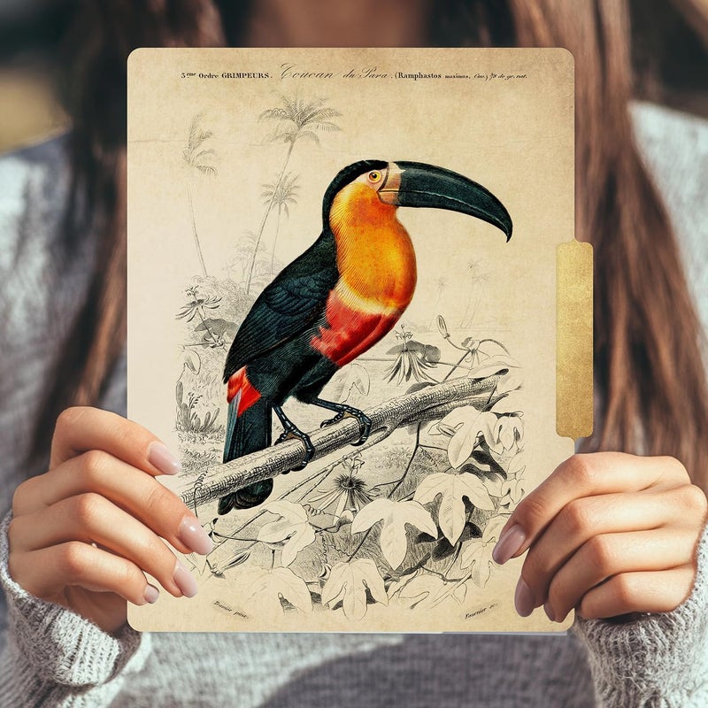 PARTH IMPEX 12 Pack Decorative File Folders, 1/3 Cut Tab with Assorted Positions, Letter Size Paper Holders (9.75” x 11.75”) Matte Finish Laminated for Office School Work - Vintage Birds Design - Image 4